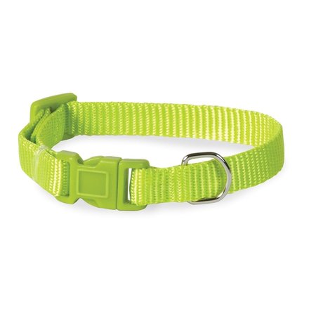 CASUAL CANINE 14-20 in. Nylon Dog CollarLight Green ZM2391 14 70